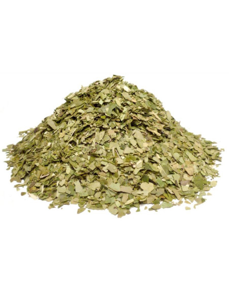 Bylík Maté list 400g