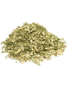 Bylík Ostružiník list 50g