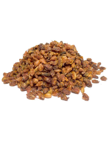 Bylík Rakytník plod 300g