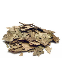 Bylík Achiote list 300g