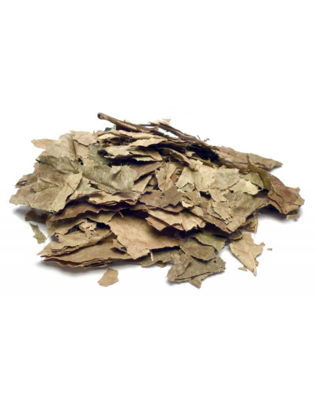 Bylík Achiote list 300g