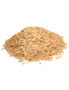 Bylík Len zlatý semeno 100g