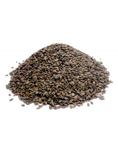 Bylík Sezam černý semínko neloupané 500g
