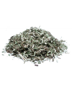 Bylík Vrbice bílá nať 100g