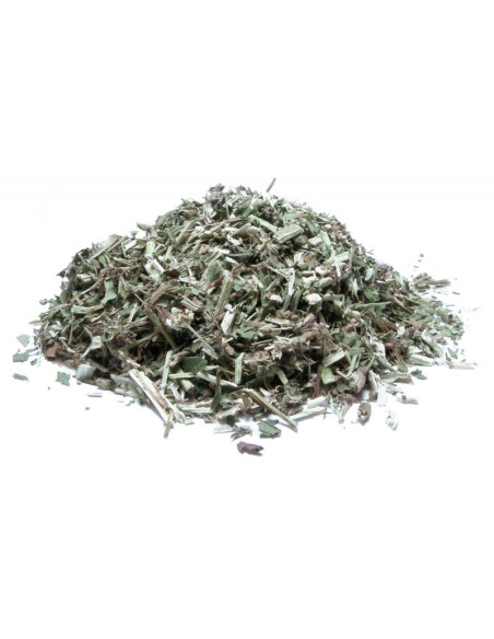 Bylík Vrbice bílá nať 50g
