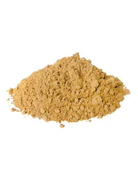 Bylík Guarana mletý plod 100g