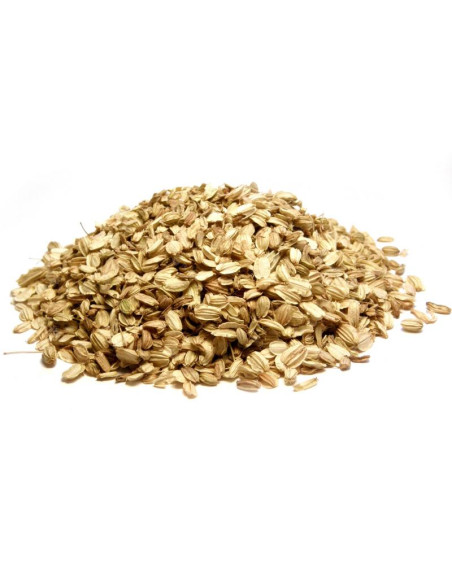 Bylík Andělika plod 150g