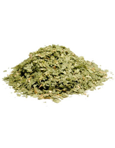 Bylík Medvědí česnek nať 300g