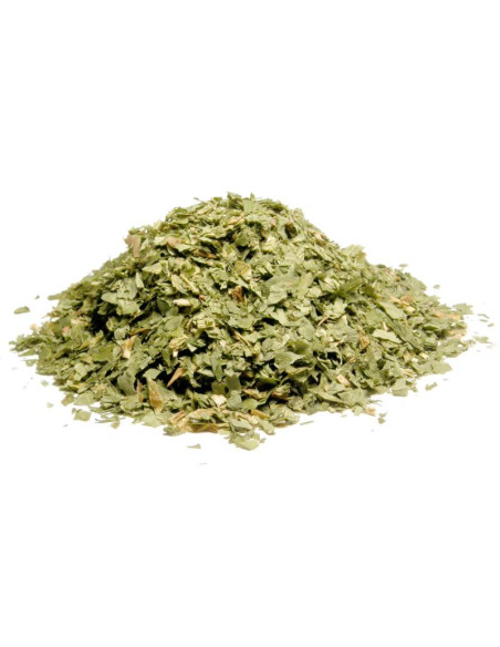 Bylík Medvědí česnek nať 100g