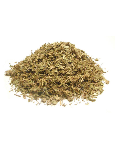 Bylík Pupečník asijský nať 100g
