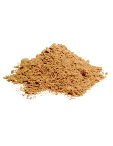 Bylík Noni mletý plod 100g