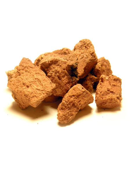 Bylík Čága kousky 50g
