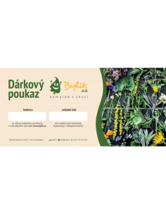 Bylík Dárkový poukaz tištěný 100Kč