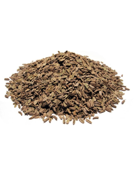 Bylík Fenykl plod 50g