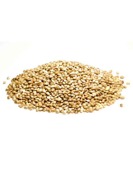 Bylík Konopné semínko neloupané 400g