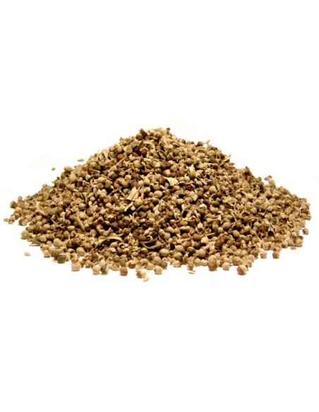Bylík Drmek plod 50g