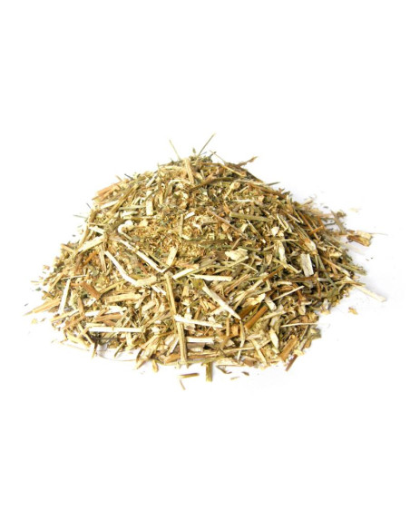 Bylík Kopretina řimbaba nať 100g