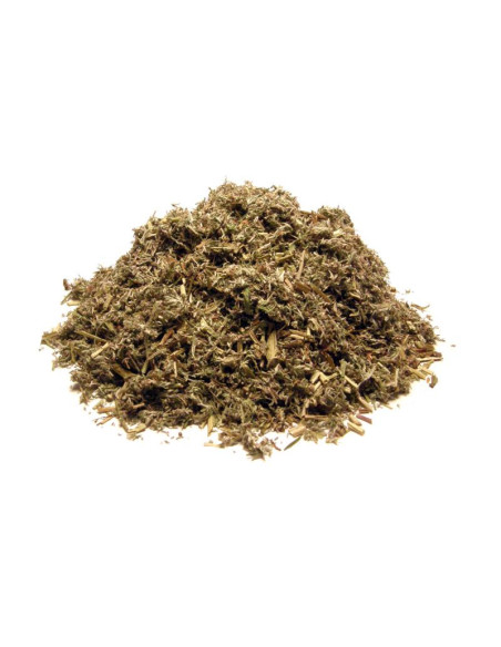 Bylík Pelyněk pontský nať 50g