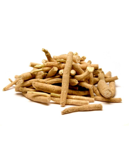 Bylík Ašvaganda kořen 30g