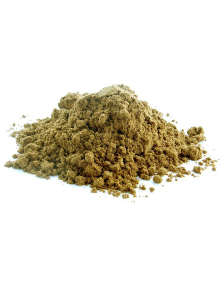 Bylík Badyán mletý 30g