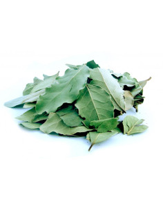 Bylík Bobkový list list tříděný 100g