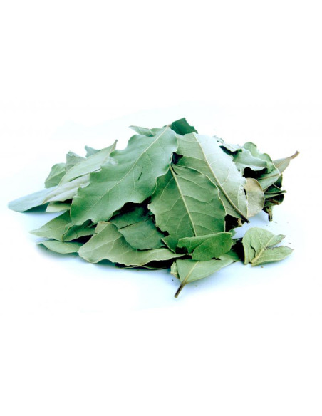 Bylík Bobkový list list tříděný 50g