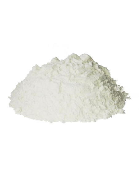 Bylík Cibule prášek 150g