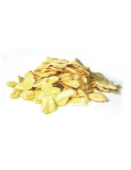 Bylík Česnek plátky 150g