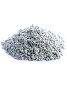 Bylík Česnek mletý 30g