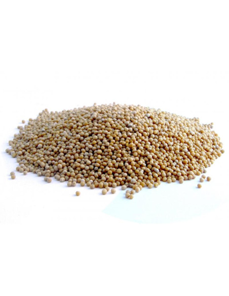 Bylík Hořčice bílá celá 250g