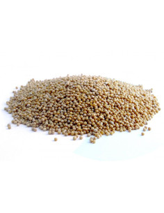 Bylík Hořčice bílá celá 150g