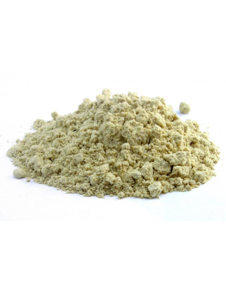 Bylík Hořčice bílá mletá 100g