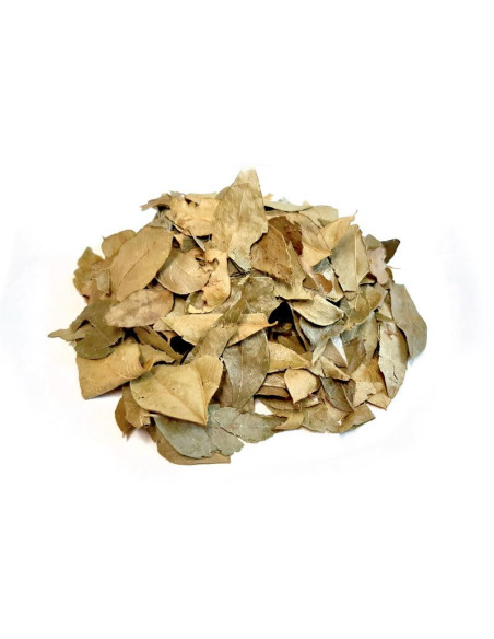 Bylík Karí lístky list 10g
