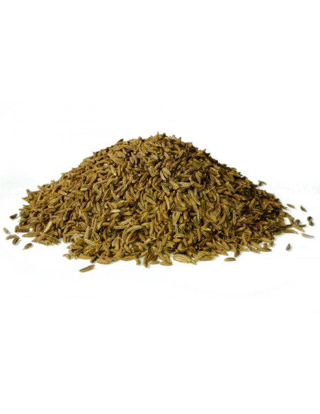 Bylík Kmín celý 400g