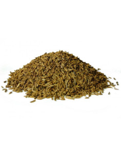 Bylík Kmín celý 200g
