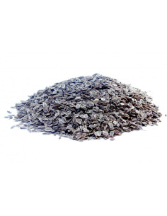 Bylík Kopr semeno 200g