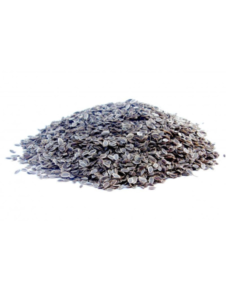 Bylík Kopr semeno 100g