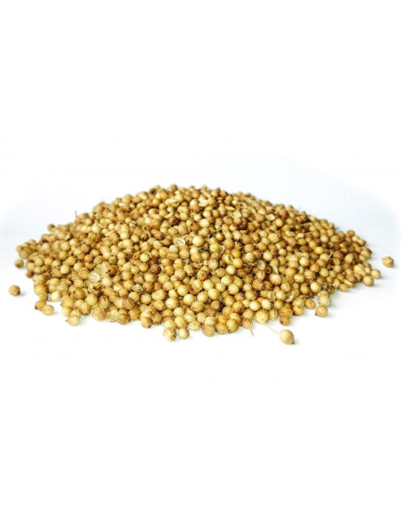 Bylík Koriandr semeno 100g