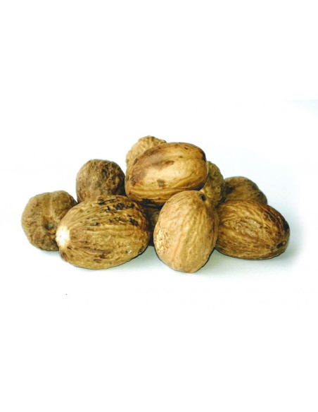 Bylík Muškátový ořech celý 300g