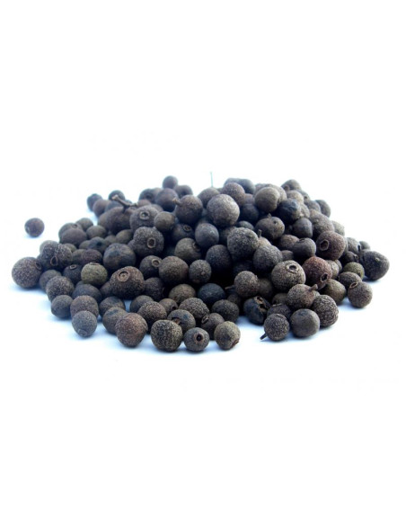 Bylík Nové koření celé 100g
