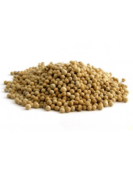 Bylík Pepř bílý celý 300g