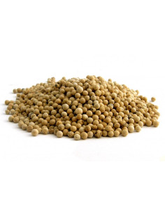Bylík Pepř bílý celý 250g