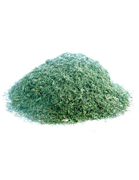 Bylík Kopr nať 50g