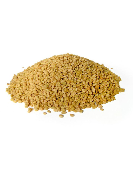 Bylík Řecké seno semeno 100g