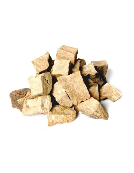 Bylík Rdesno mnohokvěté kořen 100g