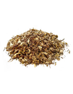 Bylík Ploštičník oddenek 30g