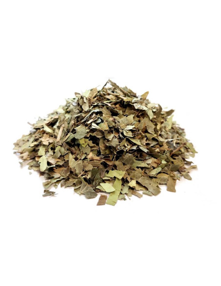 Bylík Břečťan list 250g