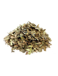 Bylík Břečťan list 50g