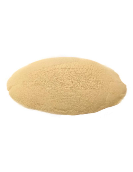Bylík Plavuň výtrusy prášek 30g