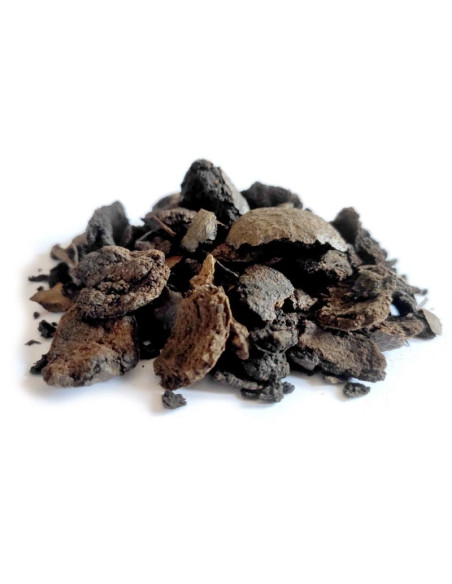 Bylík Ořešák černý oplodí 250g